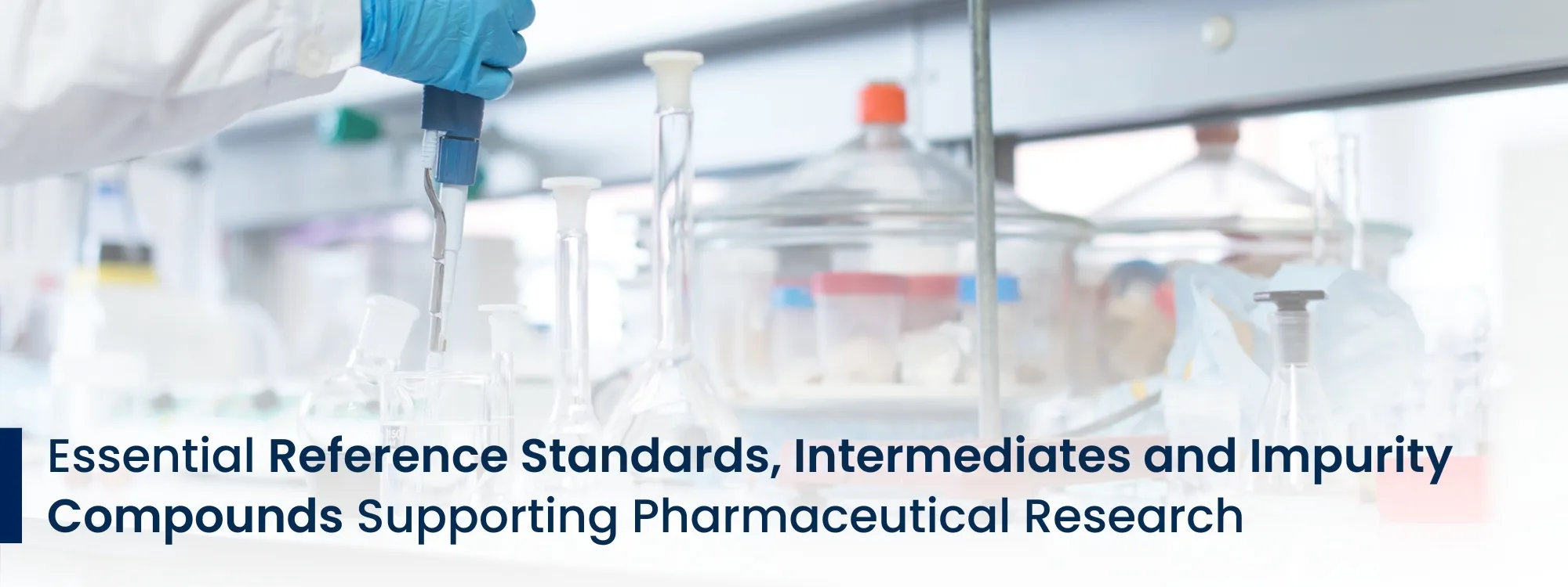Essential Reference Standards, Intermediates, and Impurity Compounds Supporting Pharmaceutical Research